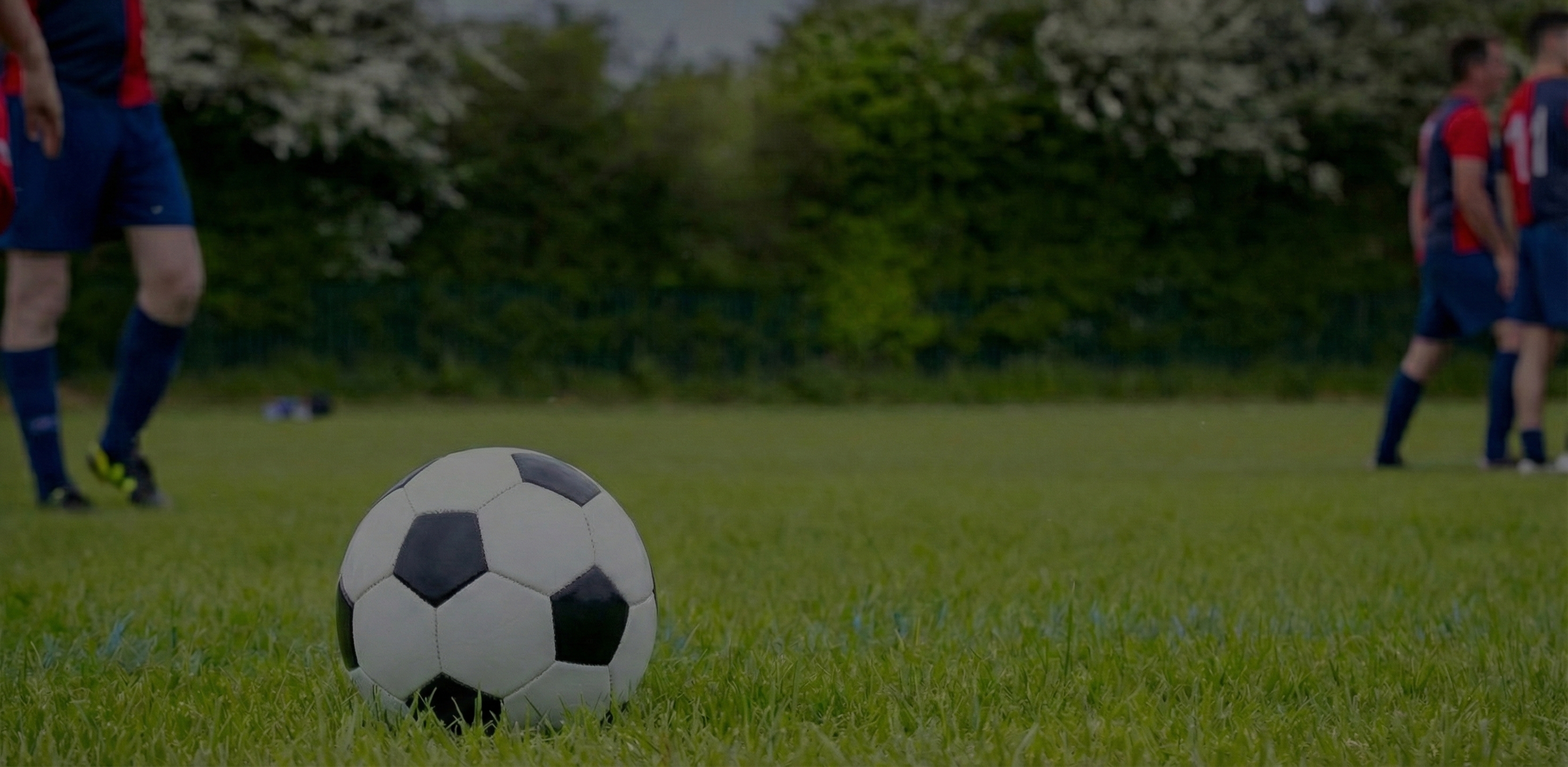 Football pitch background